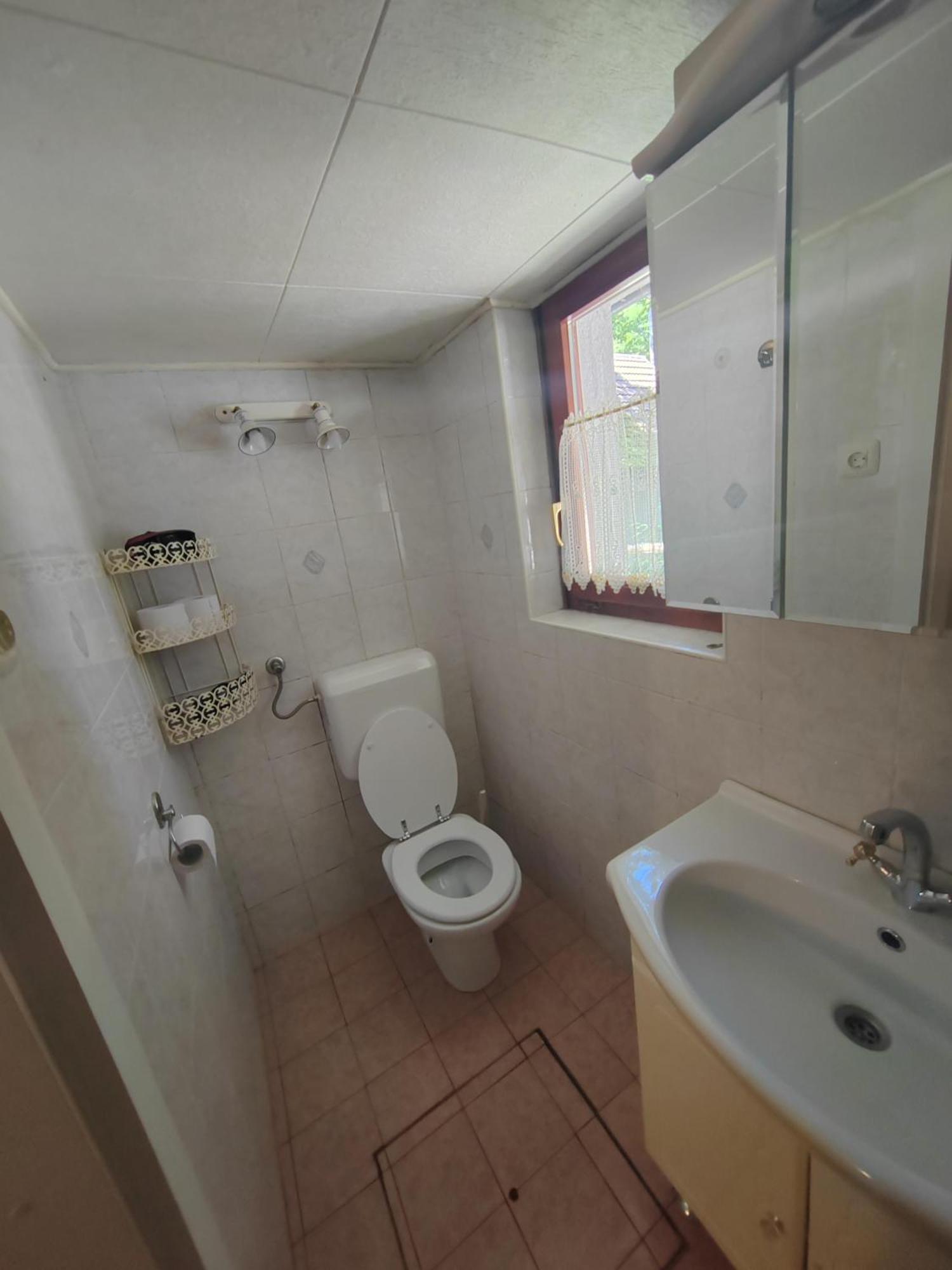 Koca Planika, Sviscaki Villa Ilirska Bistrica Exterior photo