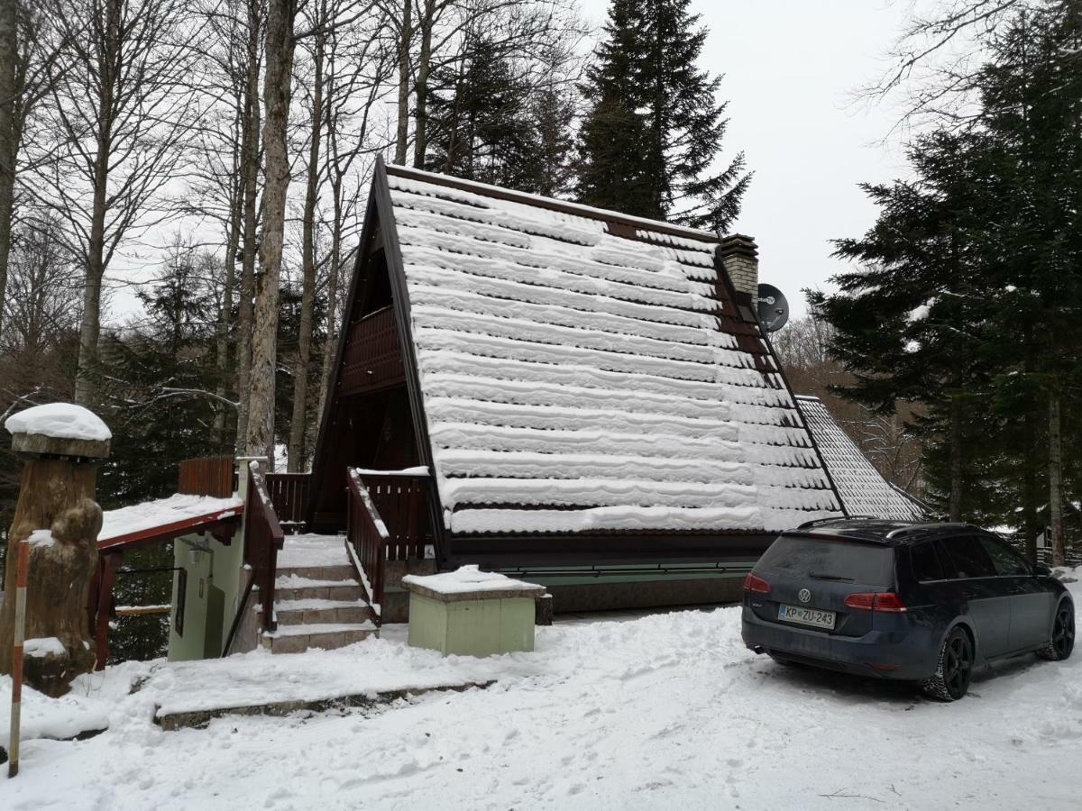 Koca Planika, Sviscaki Villa Ilirska Bistrica Exterior photo